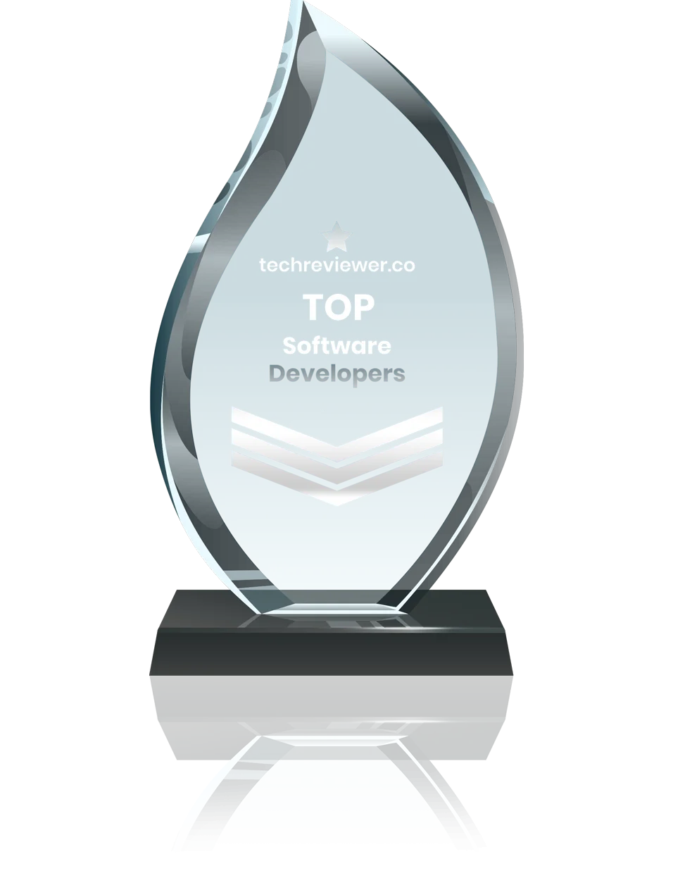 Techreviewer Top Software Developers